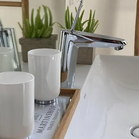 Martinshof Holiday home Traben-Trarbach