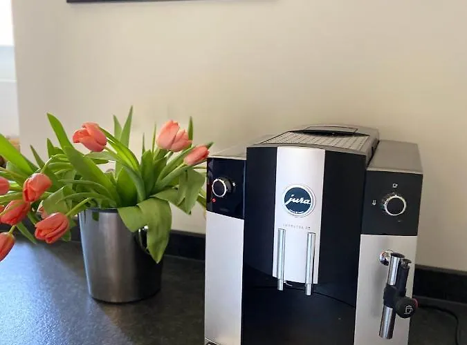 Martinshof Casa de Férias Traben-Trarbach