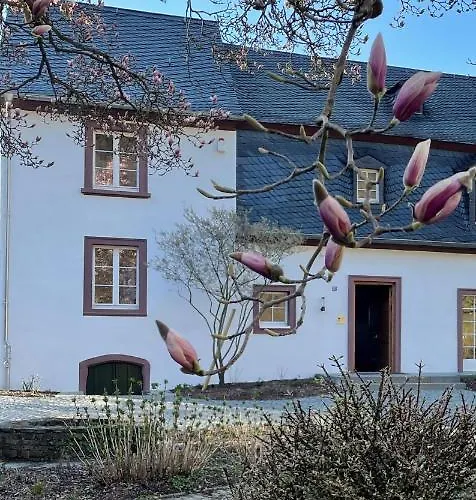 Martinshof Casa de Férias Traben-Trarbach